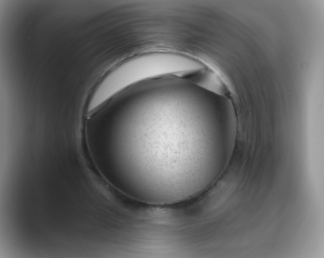 X0000089700437200707051646