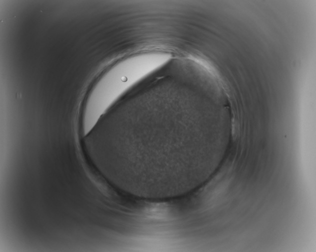 X0000089700438200707051646