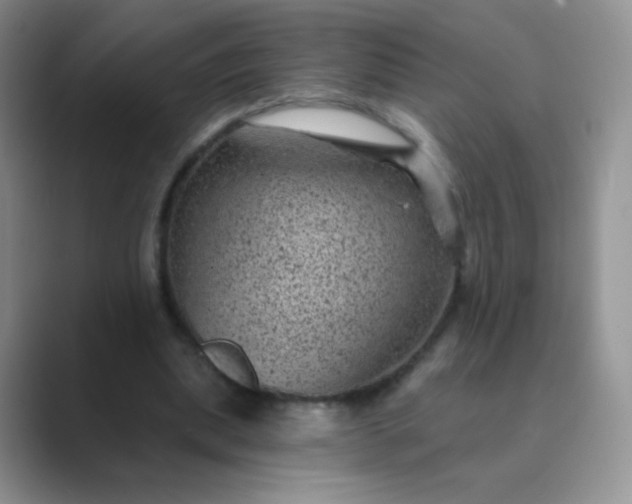 X0000089700439200707051646