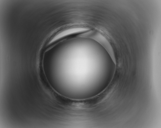 X0000089700440200707051646