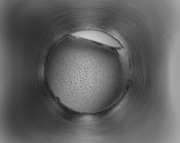 X0000089700441200707051646