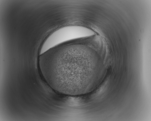 X0000089700442200707051646