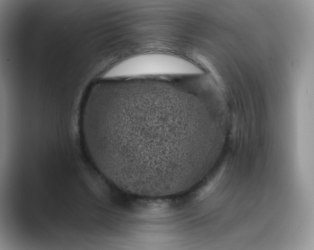 X0000089700443200707051646