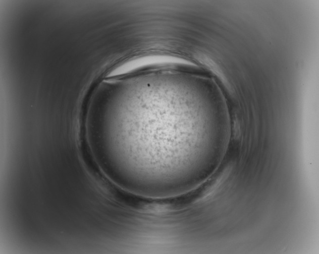 X0000089700444200707051646