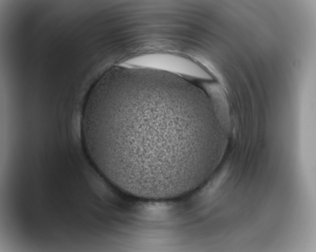 X0000089700445200707051646