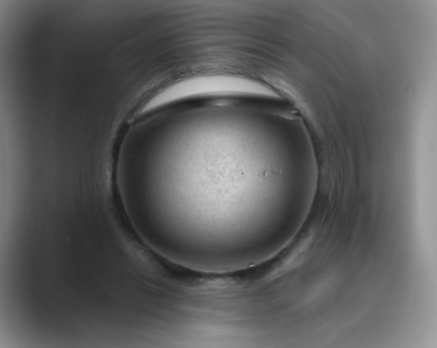 X0000089700446200707051646