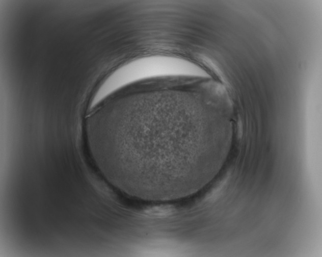 X0000089700447200707051646