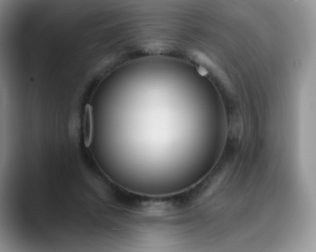 X0000089700448200707051646