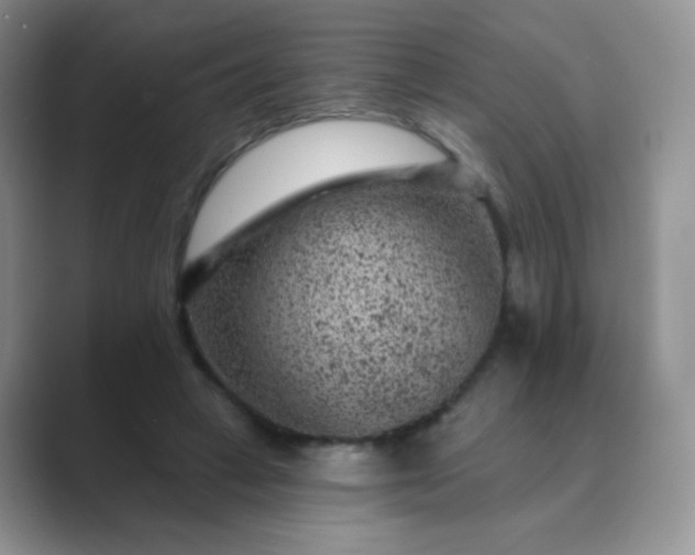 X0000089700449200707051646