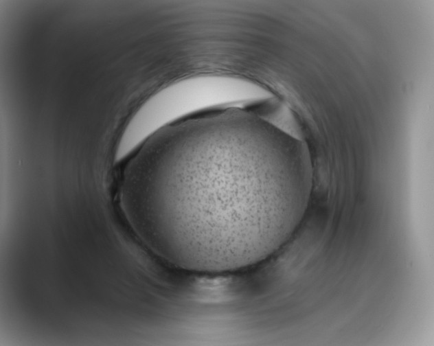 X0000089700450200707051646