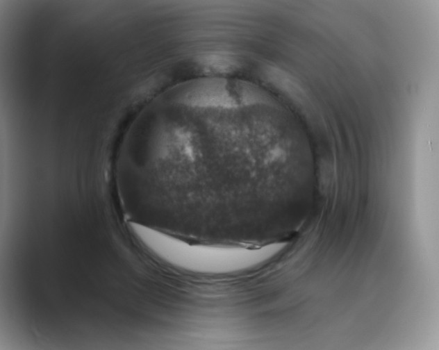 X0000089700451200707051646