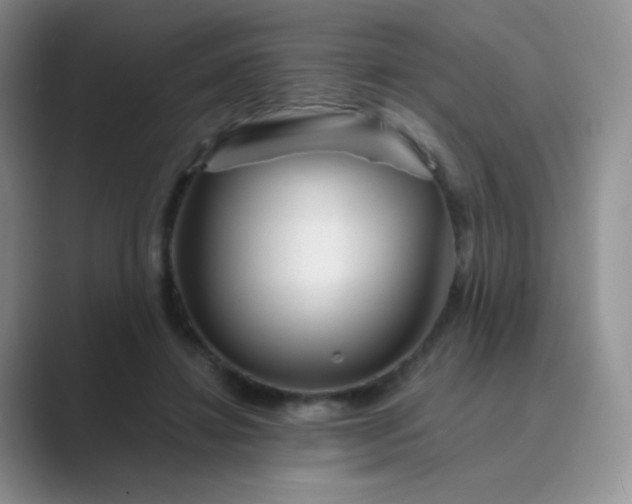 X0000089700452200707051646