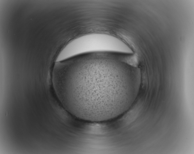 X0000089700453200707051646