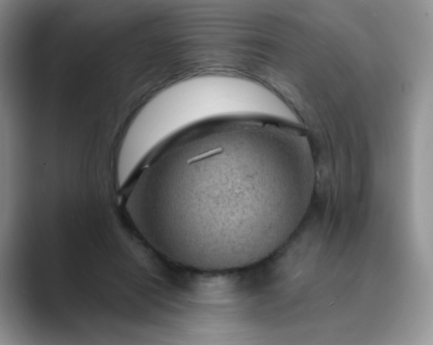 X0000089700454200707051646