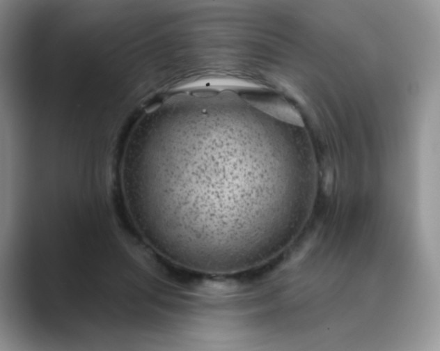 X0000089700455200707051646