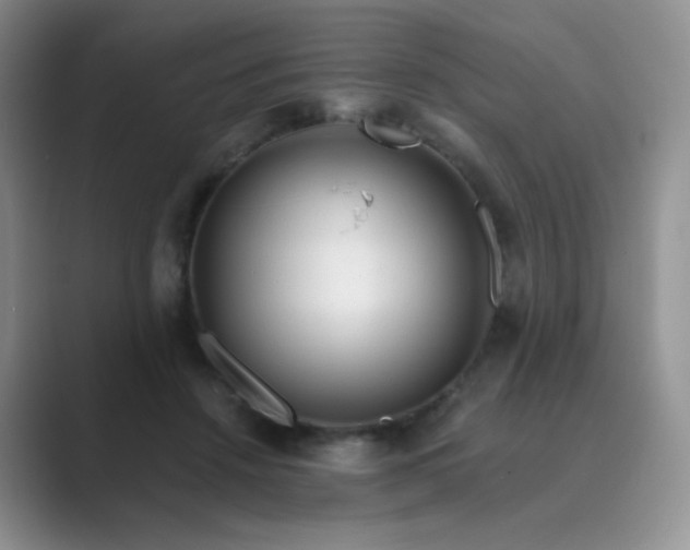 X0000089700456200707051646