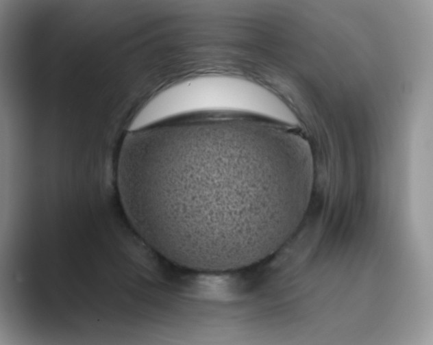 X0000089700457200707051646