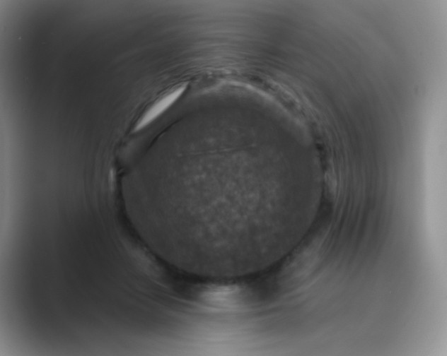 X0000089700458200707051646