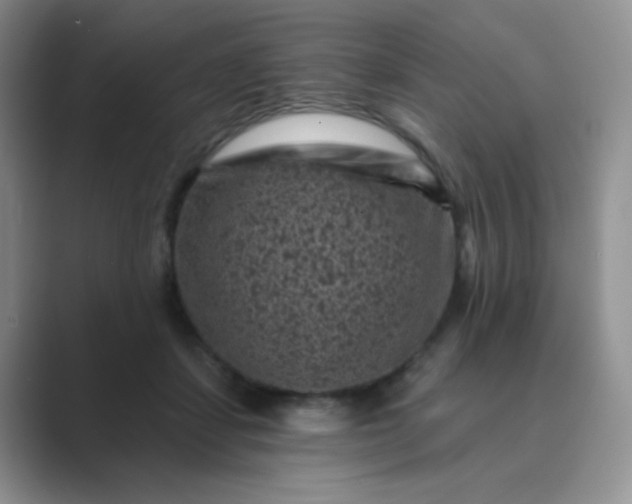 X0000089700459200707051646