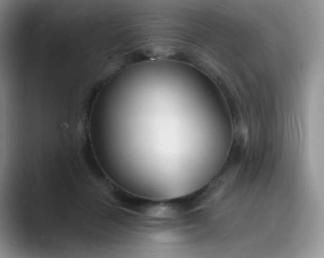 X0000089700460200707051646