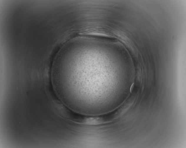 X0000089700461200707051646