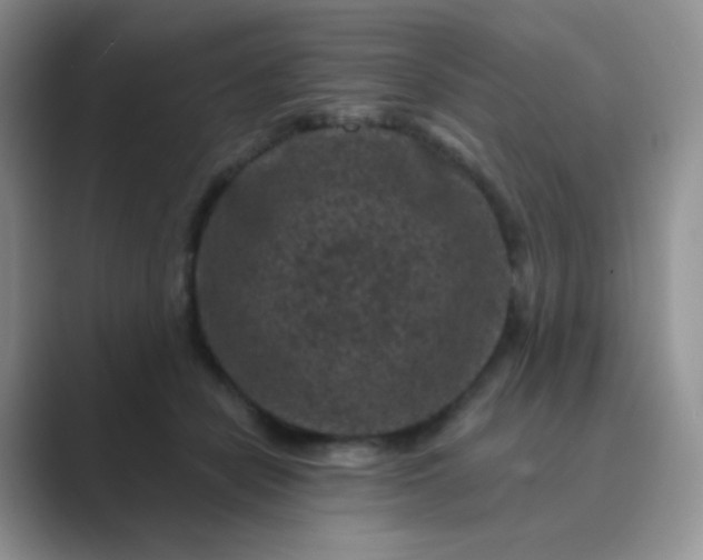 X0000089700462200707051646