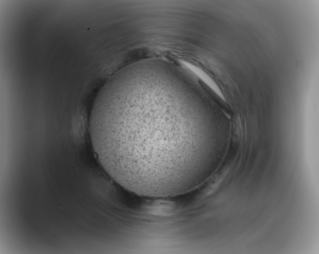 X0000089700463200707051646