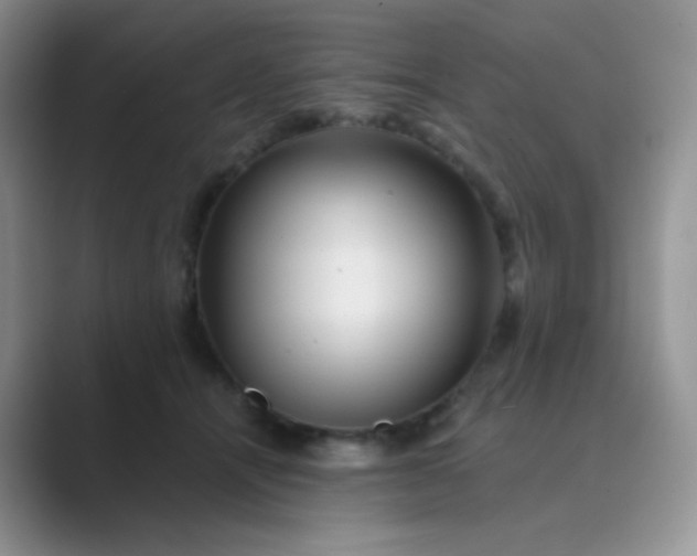 X0000089700464200707051646