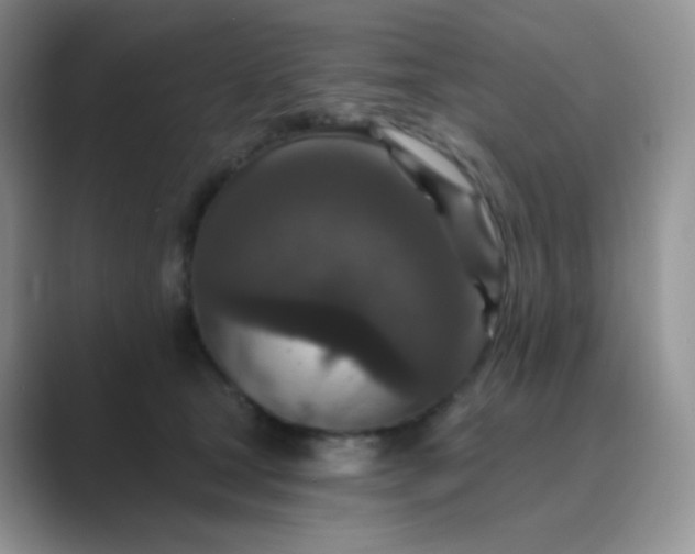 X0000089700465200707051647