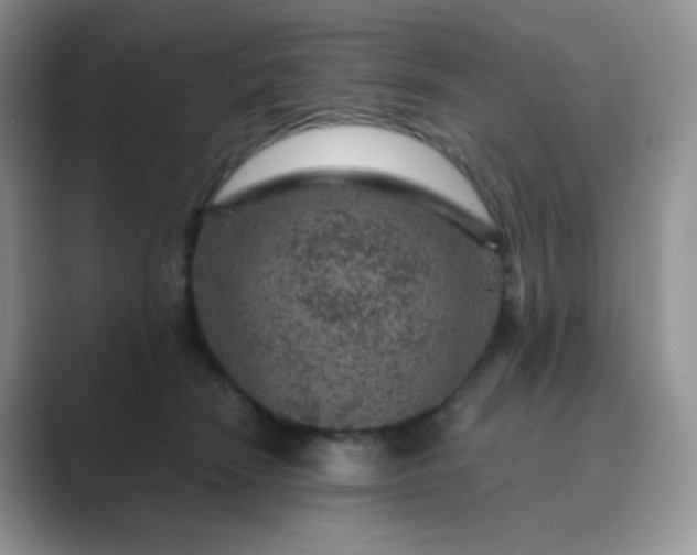 X0000089700466200707051647