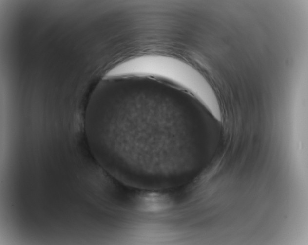 X0000089700467200707051647