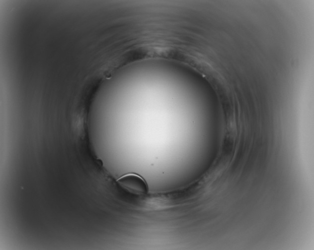 X0000089700468200707051647