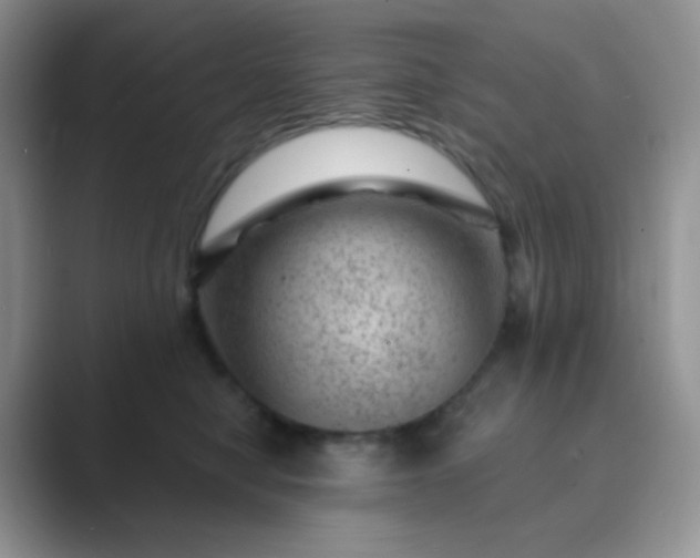 X0000089700470200707051647