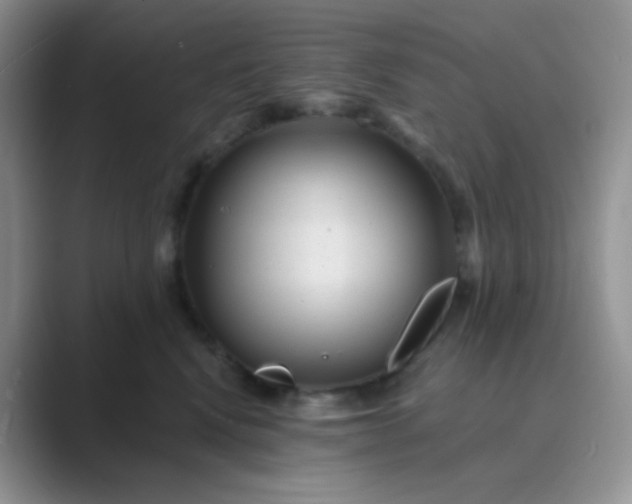 X0000089700472200707051647