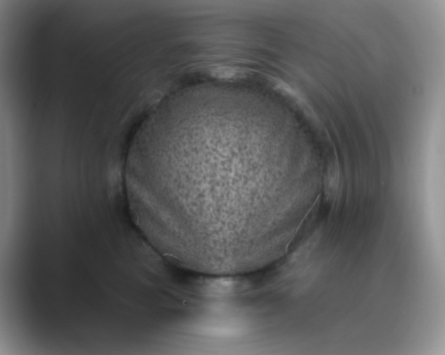 X0000089700473200707051647