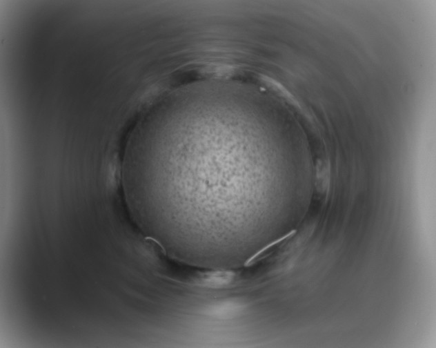 X0000089700474200707051647