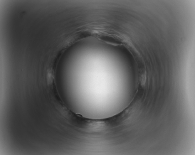 X0000089700476200707051647