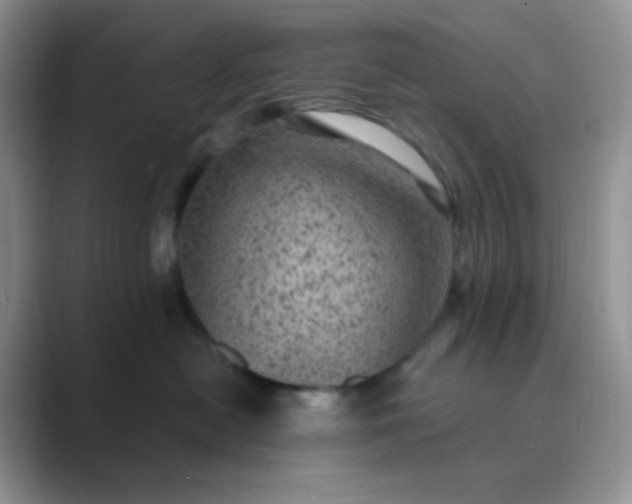 X0000089700478200707051647