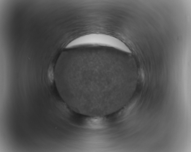 X0000089700479200707051647