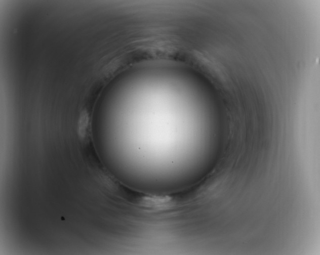 X0000089700480200707051647