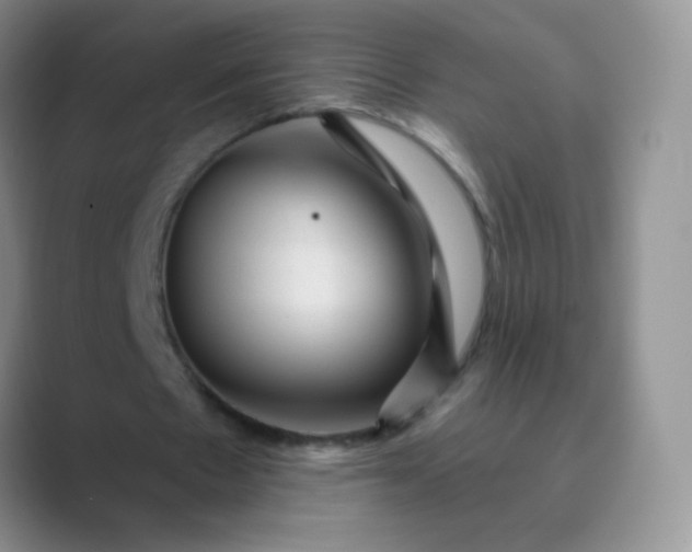 X0000089700481200707051646