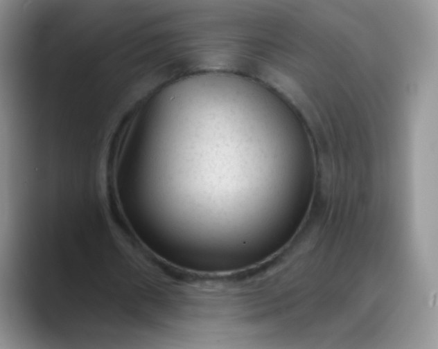 X0000089700482200707051646