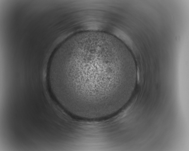 X0000089700483200707051646