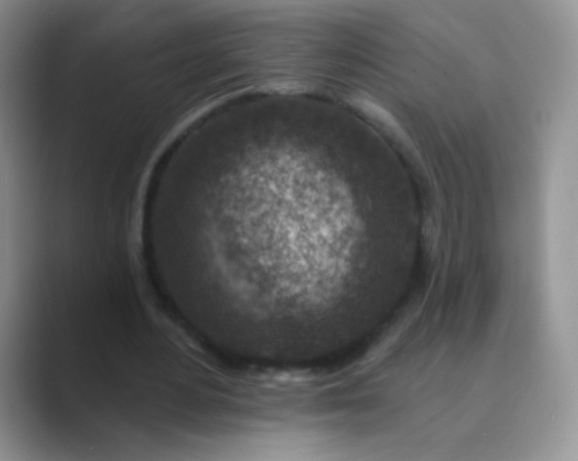 X0000089700484200707051646