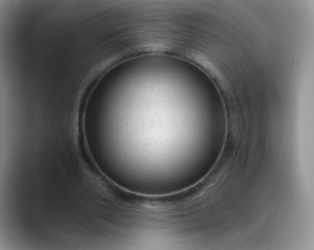 X0000089700486200707051646