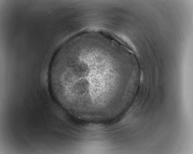 X0000089700487200707051646