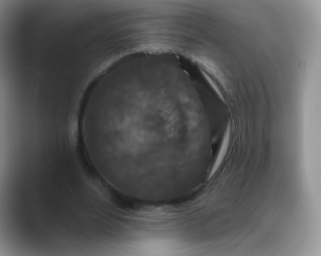 X0000089700488200707051646