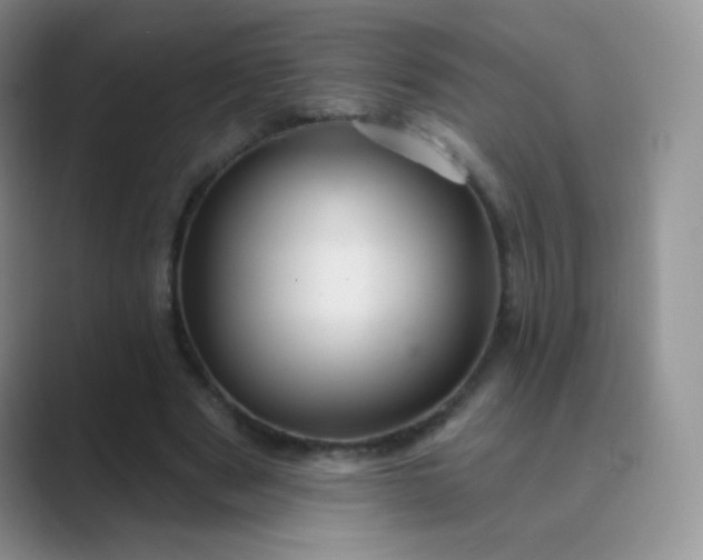 X0000089700489200707051646