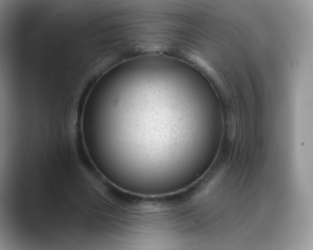 X0000089700490200707051646