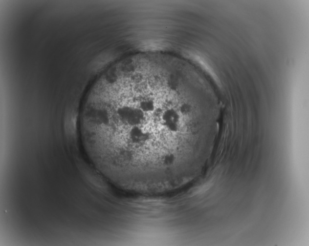 X0000089700491200707051646